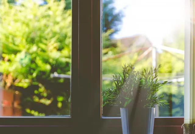 Window with plants looking out to a garden